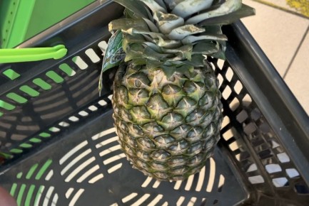 ��� ���������� �� ���������� ���������: ������� �� �������� ����������