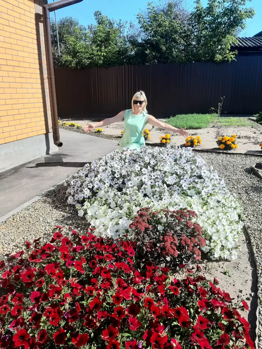 Цветочные гиганты: ампельные петунии, которые удивляют