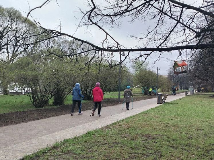 �������� ����� ������������ �� 50% �������� � ������ �� ���� ������