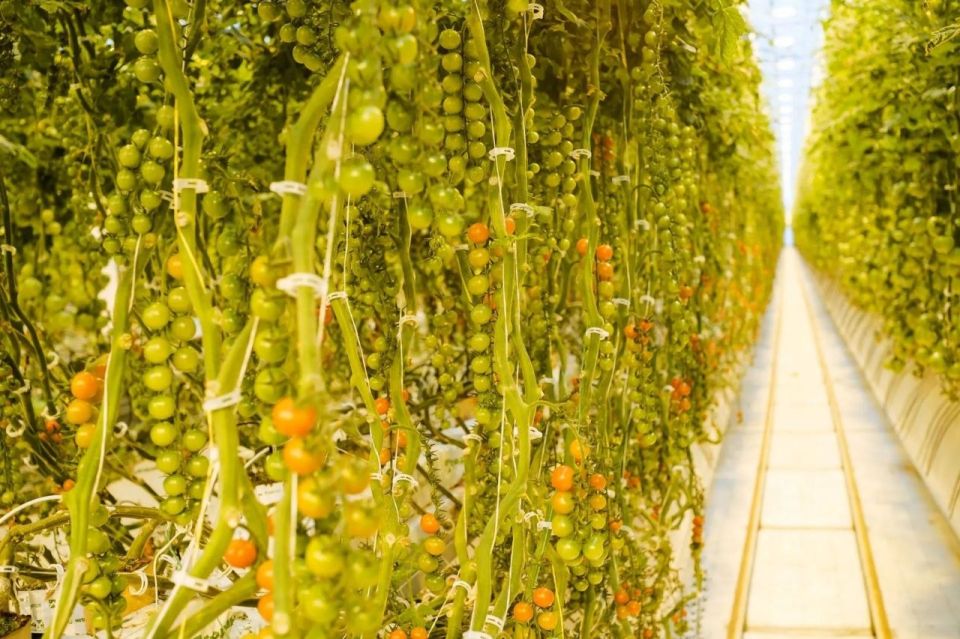 ������ ������� ������ ��������� ���������� ���������� ��������� �����������������