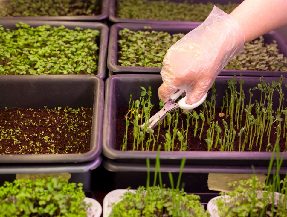 ����� ���������� ��� ��������� ����������� �������