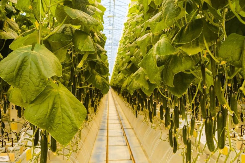 ������ ������� ������ ��������� ���������� ���������� ��������� �����������������