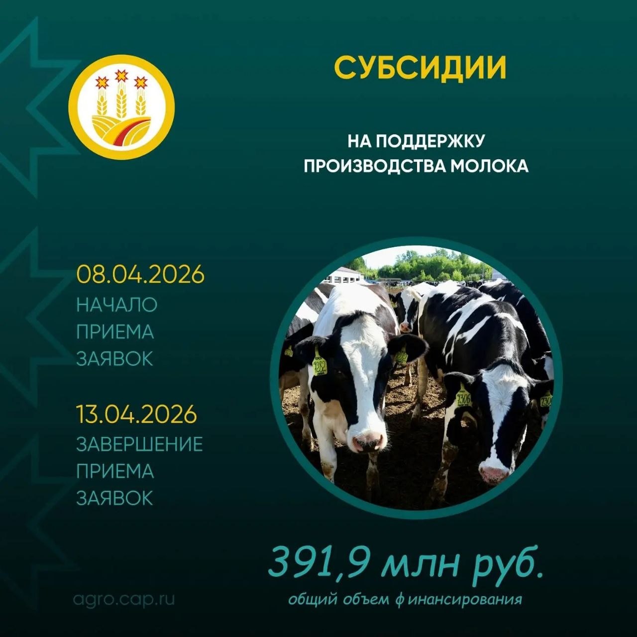 Минсельхоз Чувашии объявляет отбор по двум субсидиям для производителей и переработчиков молока