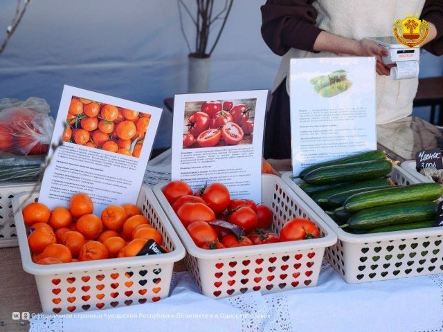 � ������� ���������� ������� ��������� ��� ������ � 2026�