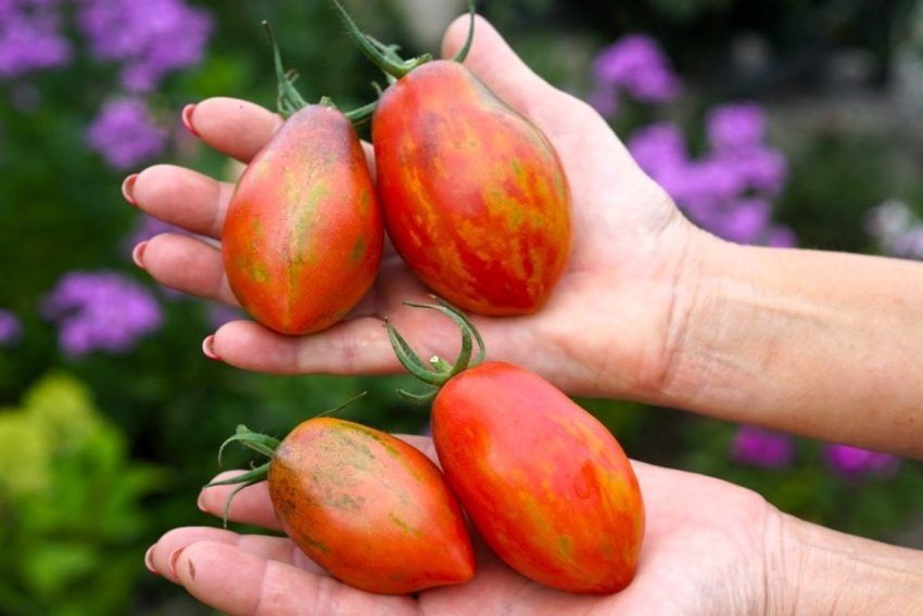 ����� ���� ������: ��� ��� ��������� �������� ��������� � �������