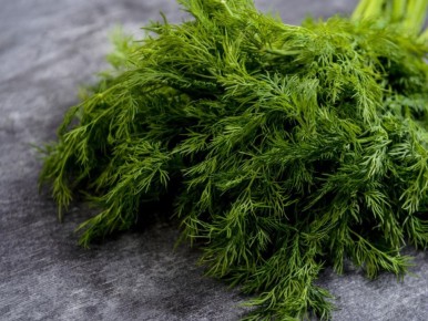 ����� �� ����� �������: ������� ������������� � �����