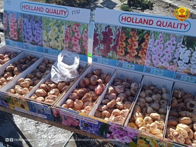 � ������� ���������� ������� ��������� ��� ������ � 2026�