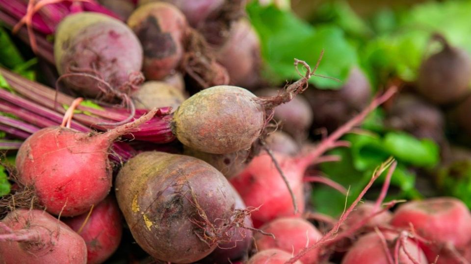 �������� ������: ������� ������������� � �������� �����������