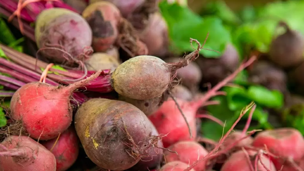 Сахарный кризис: россиян предупреждают о грядущем подорожании