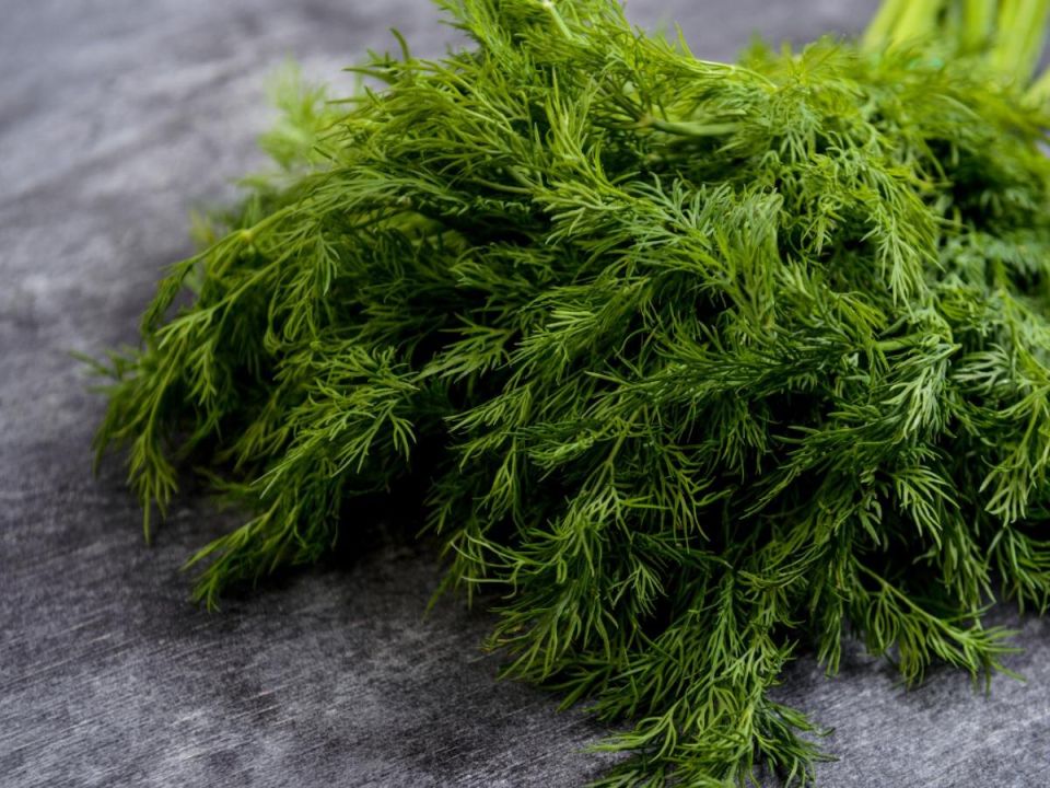 ��� �������� ������� ������: ������� ��������� ����� �� �������