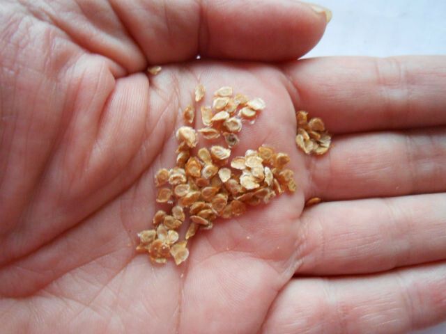 ��� ��������� ������� � ������� ������ ������ � ������� �������