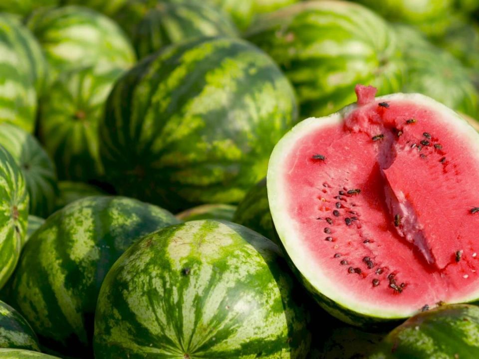 ��� ��������� ������� ������ �� ����: ������� ������� ��� ��������