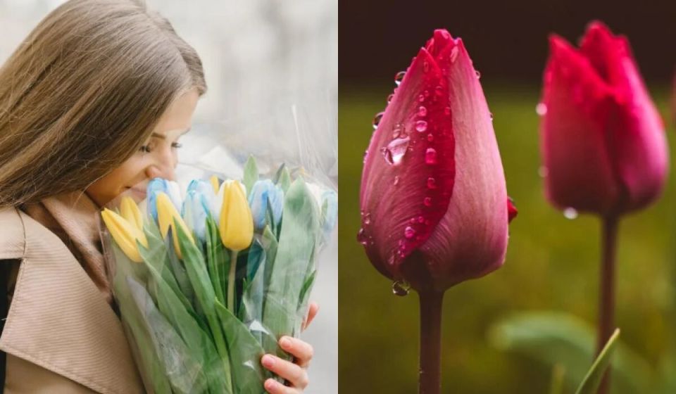 8 ��������, ��� ��������� �������� ������� � ������ ������