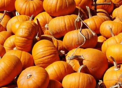 ���������� ����������� ����� � ��������: ��� �������� ������� �� ������