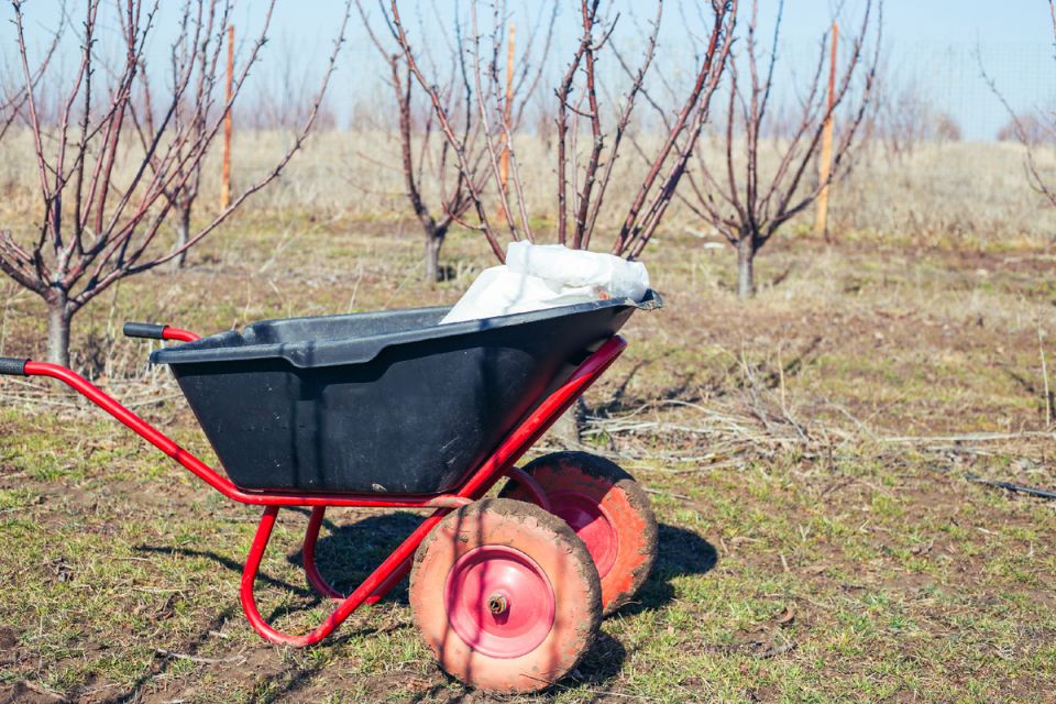 ��� ��������� ���������� �������� ������� ������ ��� �������� ������