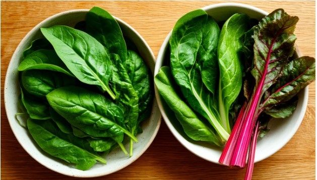 ������ ������������ ���: ��������� � �������� � �������, ������� ����� �����������