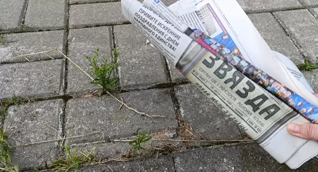 Эффективные методы борьбы с сорняками: от традиционных техник до народных средств