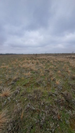 ��� ����� ������� ��� ����� ����� ����� � ������� ����� ������ �� ����