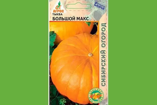 Тыква Большой Макс: мощный сорт с впечатляющими урожаями и сладким вкусом