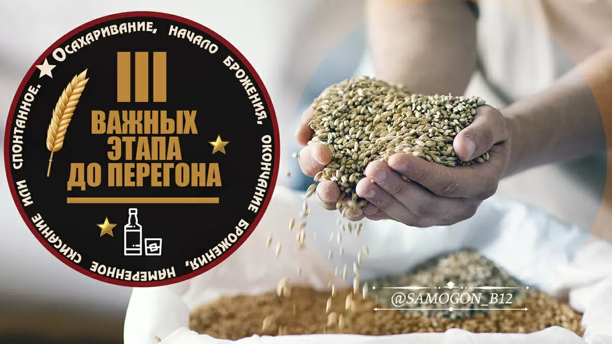 Как осахарить и сбраживать зерновые: пошаговое руководство для новичков