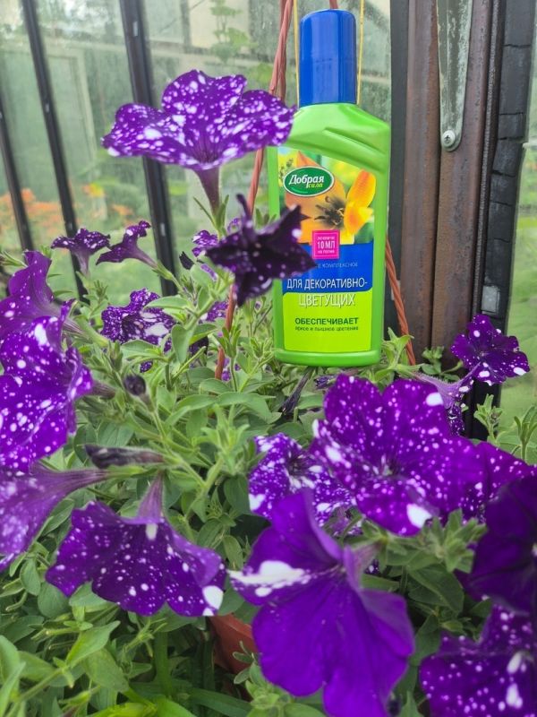 ��� �������� ������� �������� �������: ������� ��������������