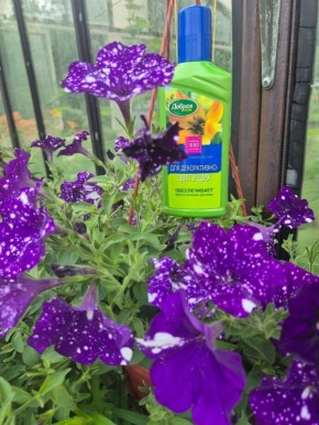 ��� �������� ������� �������� �������: ������� ��������������