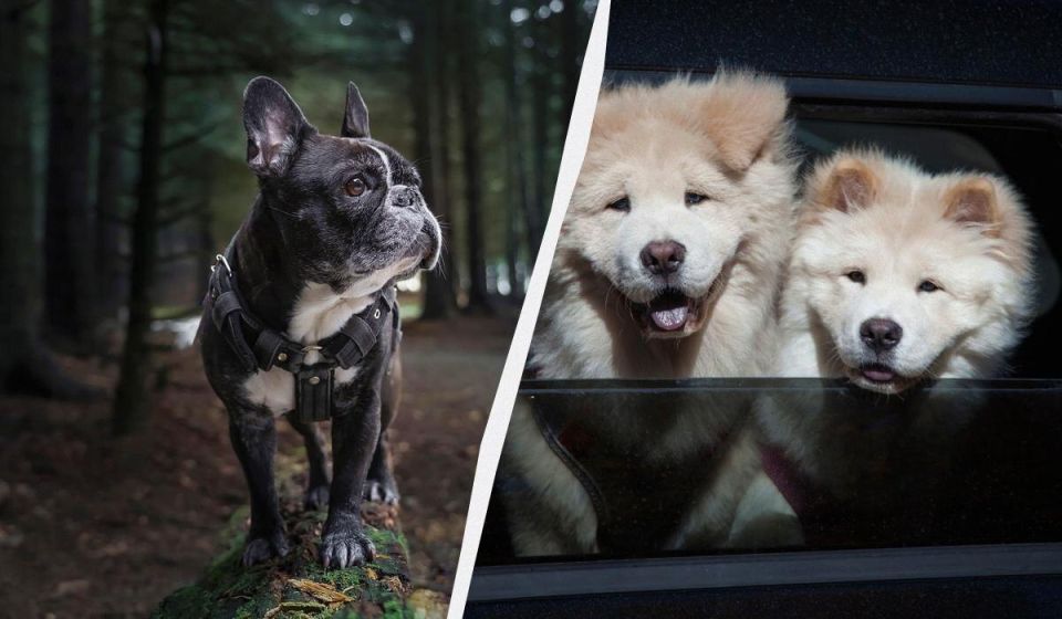 ����� ������ ����� ����� ������� �����? ����� ������ � ������