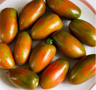 Сортовые томаты: как не попасться на уловки маркетинга