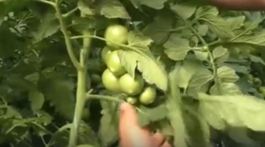 ��� ��������� ������ �������: ������� ��� �������� ������