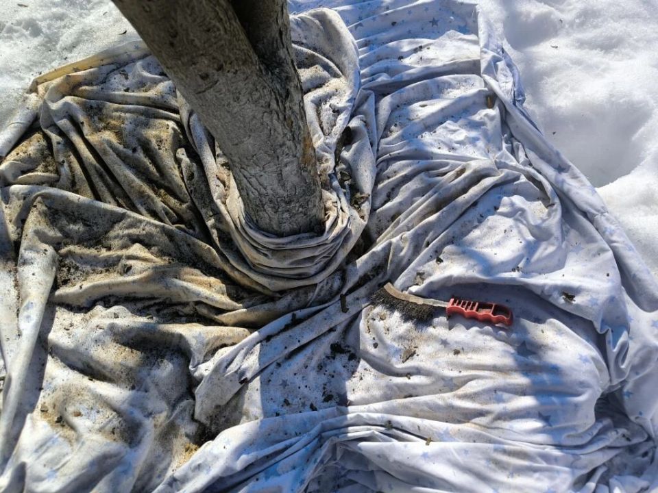 ��������� �� ������ �������: ��� ������ ������ �� ������������� �������