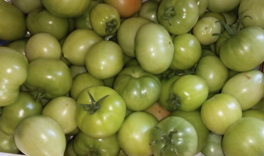 ��� ��������� ������ �������� �� ������ ����