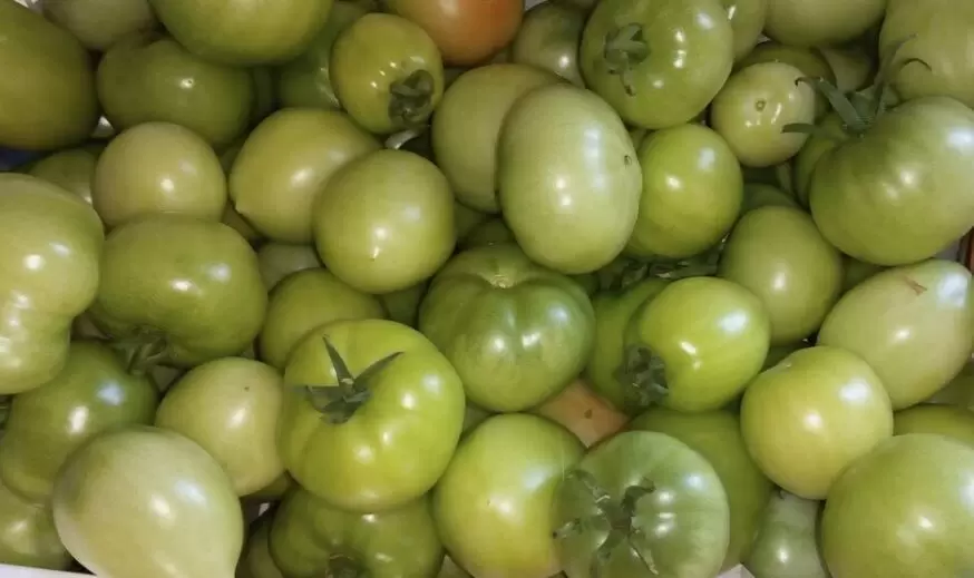 Как сохранить зелёные помидоры до Нового года