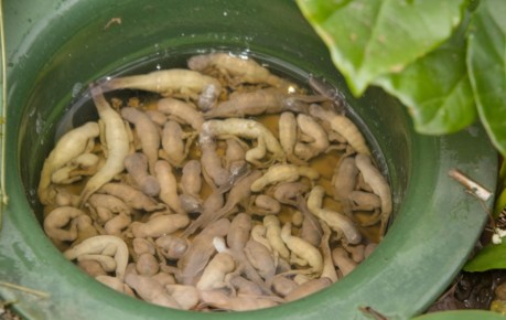 ������: ��� ������ ������ � ���������� ��������� ������ ����������