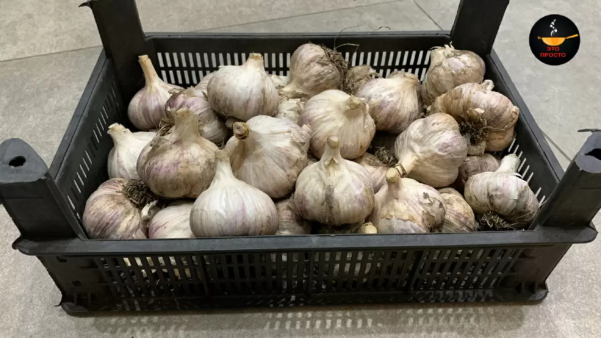 Как сохранить свежий чеснок на весь год: секреты от кулинаров