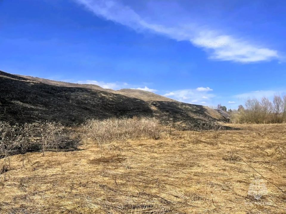 ������ ����������� ����� ������ ��������� � �������