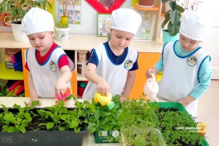 ���� ��������: � ������� �� ����������� ������ ������� �������� ��������: �� �������� ���� �� ������� �������� �����