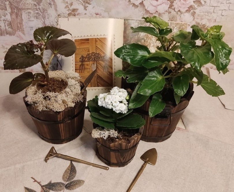 ��� ��������� ������� ���������� ������ � ��������� �������� �������