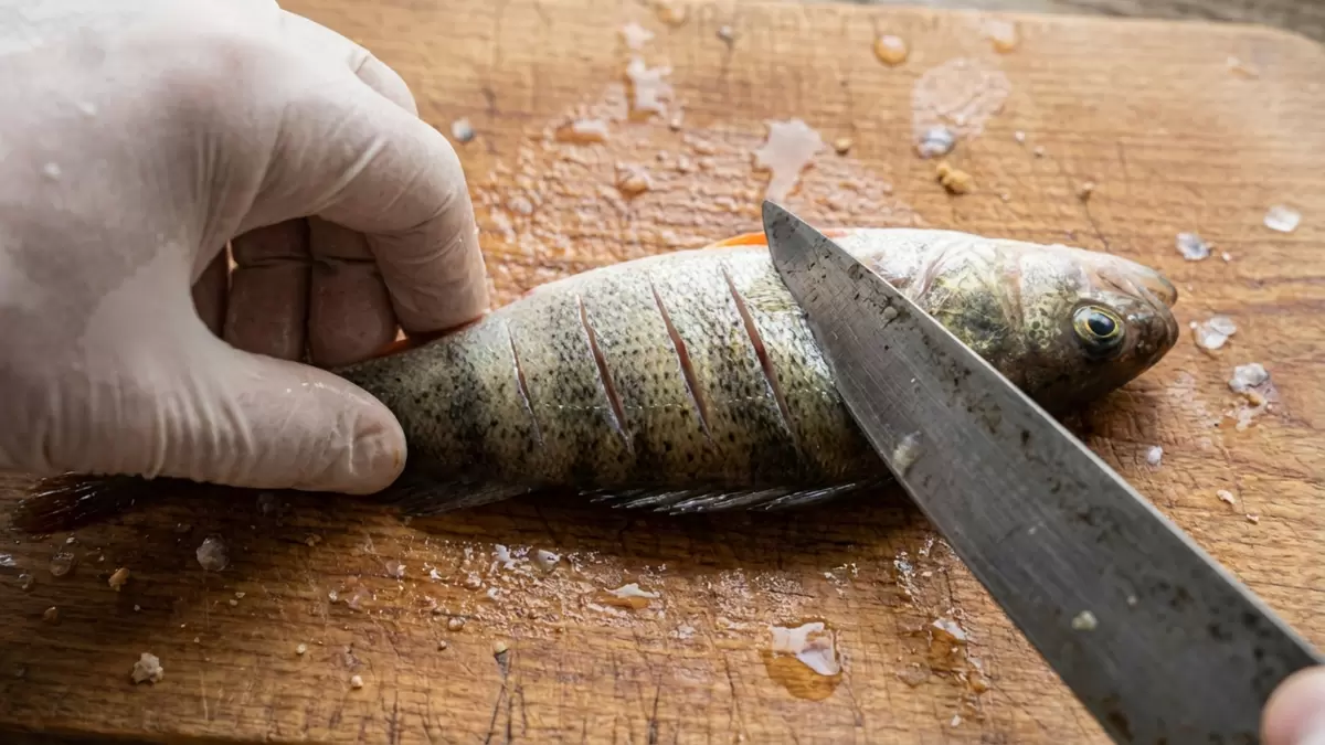Как приготовить костлявую рыбу, чтобы есть ее целиком