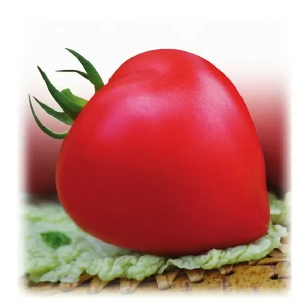 Томат Премиум: секреты успешного урожая под защитой