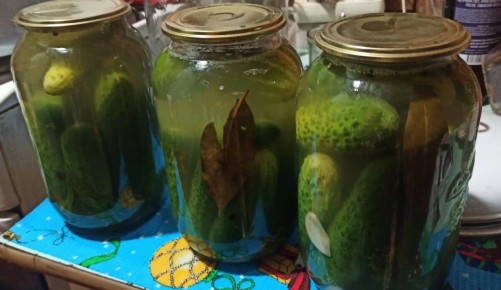 Как вернуть огурцам былую свежесть: секрет бабушки по спасению мутных банок