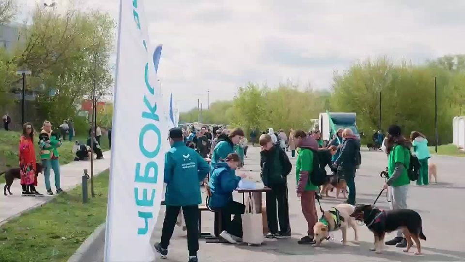 ��������� ����� ������ ����� �����: ����� ������ ��������� �������� ��������� ������� �� �������� ��������