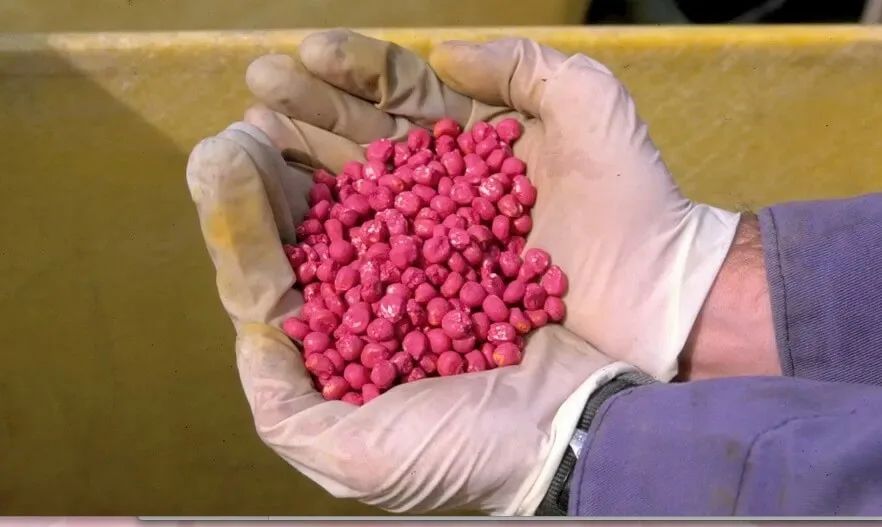 �������������� �����: ���� � ��������� ������