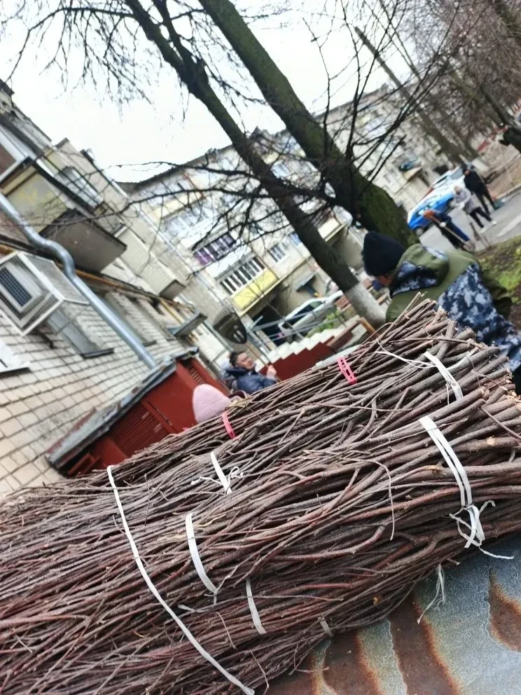 УК активно проводят субботники во дворах УК активно проводят субботники во дворах