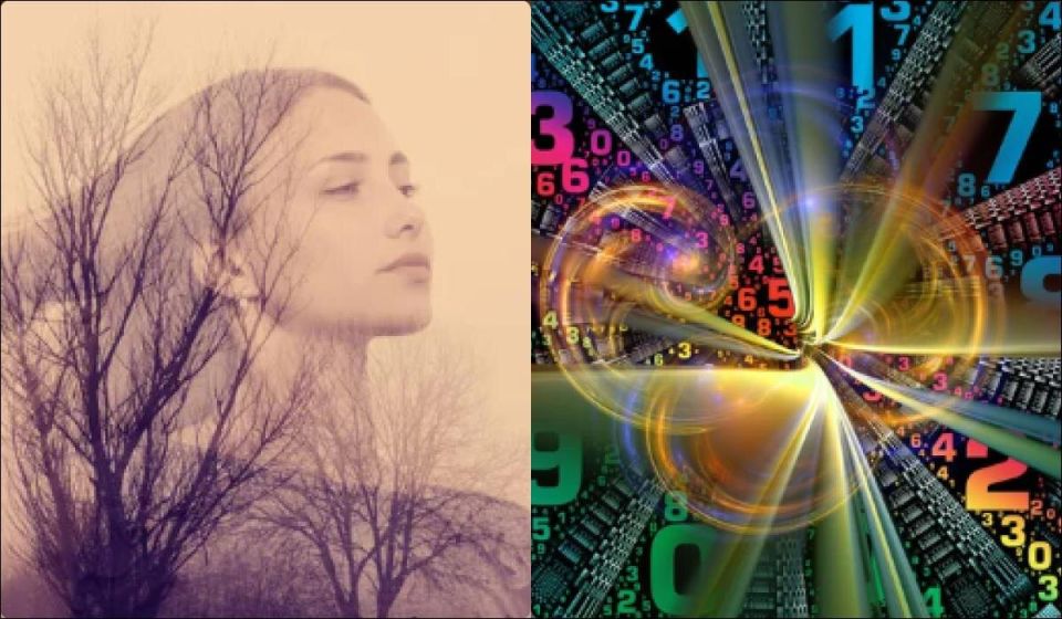 ���������� � ��������: ��������� ����� �����, ���������� � ������, �����, ���� � ������