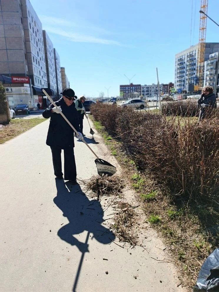 УК активно проводят субботники во дворах