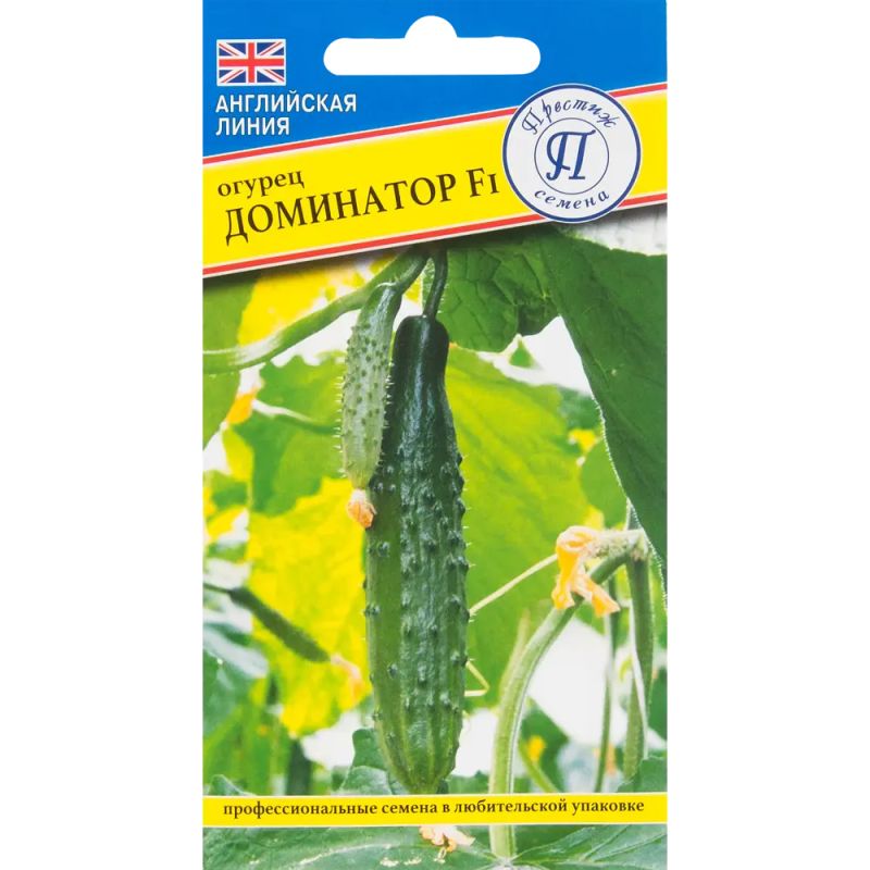 ��� ������ ��������� ���� �������� ����� ������� ��� ����������� ���������