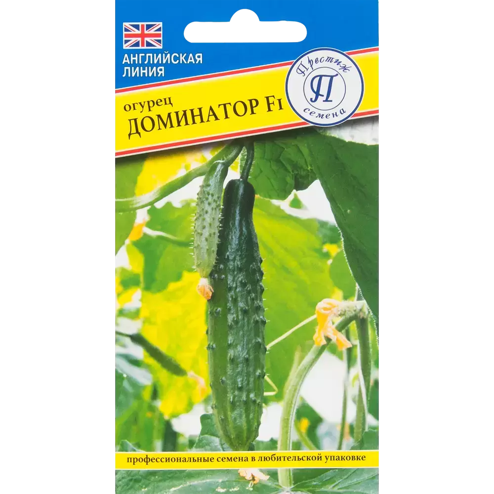 Как огурец Доминатор стал символом вкуса детства для современных садоводов