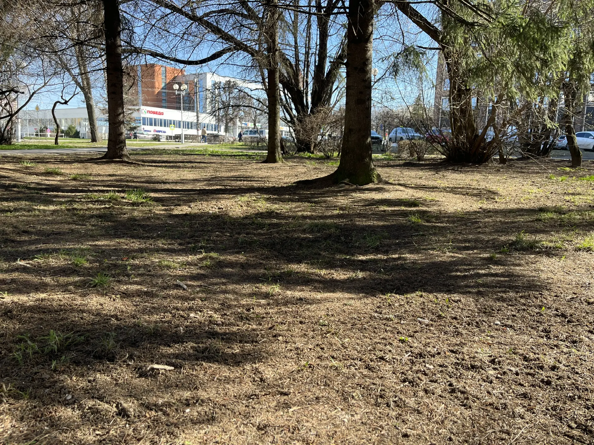 Как приятно видеть по пути на работу или из окон своего кабинета чистую и ухоженную территорию - подумали сотрудники прокуратуры Чувашии и, не откладывая решение этого вопроса в "долгий ящик", оперативно собрались на... Как приятно видеть по пути на работу или из окон своего кабинета чистую и ухоженную территорию - подумали сотрудники прокуратуры Чувашии и, не откладывая решение этого вопроса в "долгий ящик", оперативно собрались на...