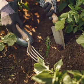 ������� ��������� ���������: ��� ������������� ����� ��� �������� ������