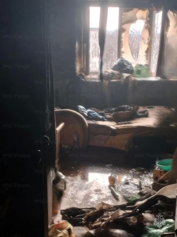 �������� ������ ���� ������� ���������������